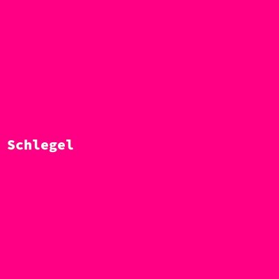 Hersteller: Schlegel