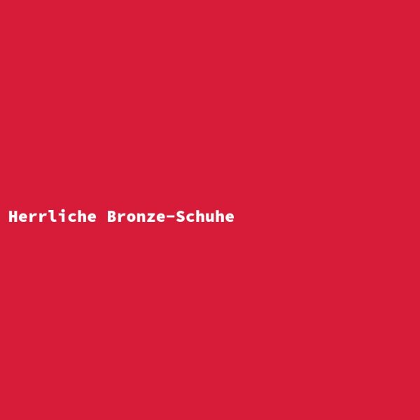Herrliche Bronze-Schuhe