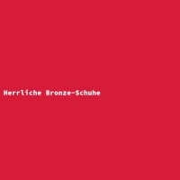Herrliche Bronze-Schuhe